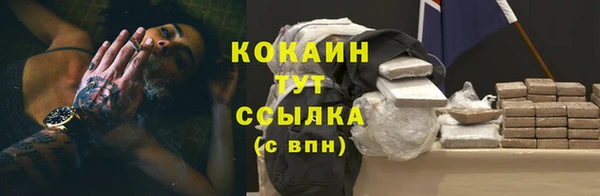 mdpv Пестово