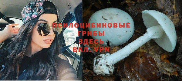 mdpv Пересвет
