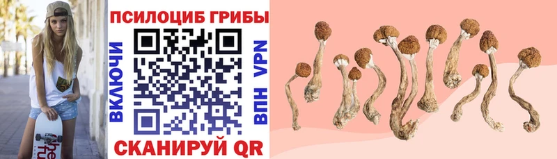 Псилоцибиновые грибы мухоморы  что такое   Ростов 